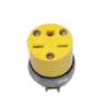 TOMA AMARILLO AMERICANO PVC CON TIERRA